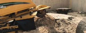 stump