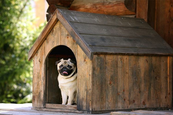 Wooden dog house