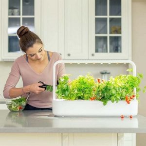 container-garden-for-grow-different-vegetables