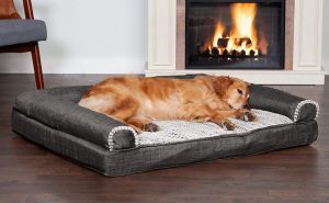 dog laying in its bed