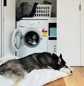 Washable-dog-cover-bed