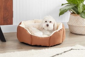 small-dog-beds