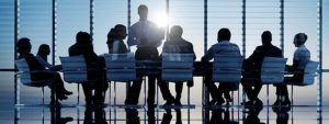 Directors and Officers Indemnity Insurance