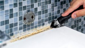 silicone sealants