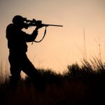 Bullseye: Your Guide to Choosing the Right Air Rifle
