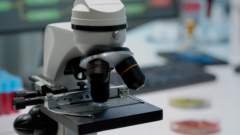 compound microscope