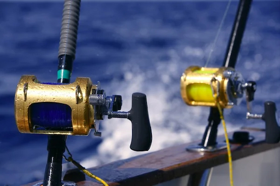 A Beginner’s Guide to Saltwater Spinning Reels