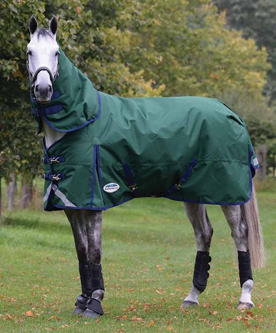 a horse outdoors with a waterproof turnout blanket
