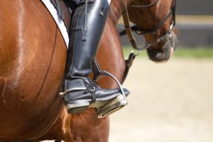 horse equipment