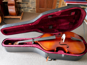 Double Bass Case