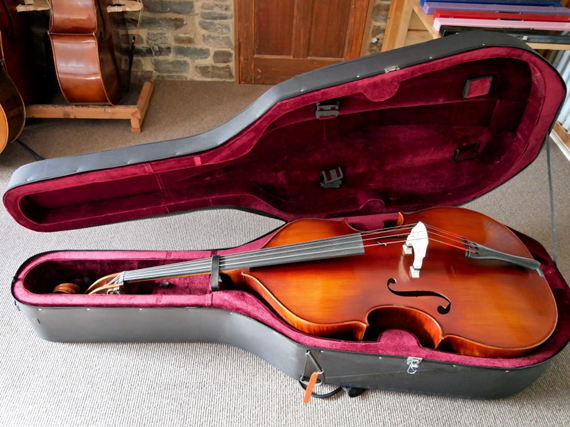 Double Bass Case