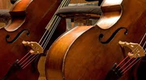 Double Bass