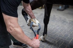 tongs-farrier-tools