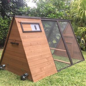 Holly Guinea Pig Enclosure