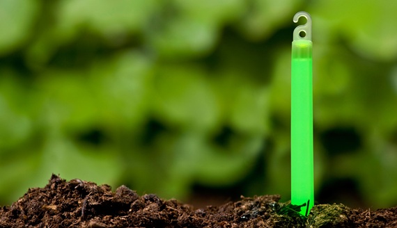 close up of chemlight