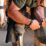 farrier's-toolkit