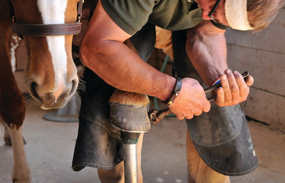 farrier's-toolkit